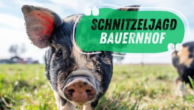 Bauernhof-Schnitzeljagd