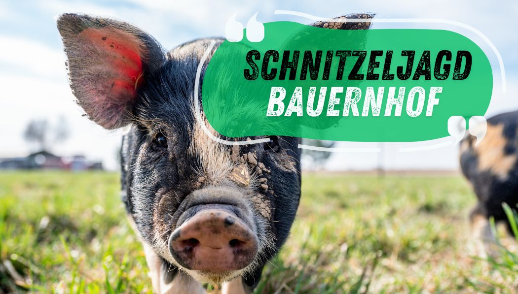 Bauernhof-Schnitzeljagd