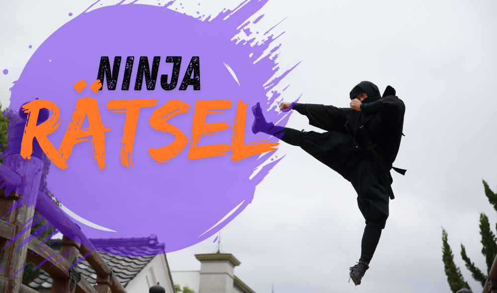 Ninja-Rätsel für Kinder von 6-12 Jahren – Knobelspaß für kleine Ninjas