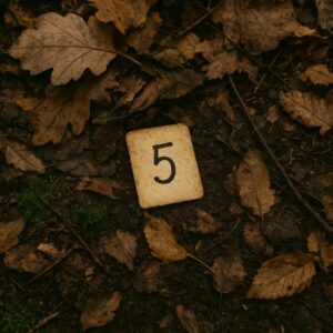 Hinweis mit der Zahl 5, halb unter Laub auf dem Waldboden verborgen – ein magisches Schnitzeljagd-Versteck wie aus dem Elfenwald.
